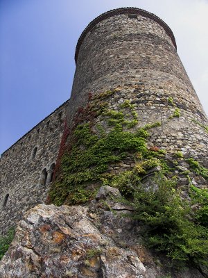 The tower