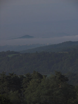 Early morning mist 2