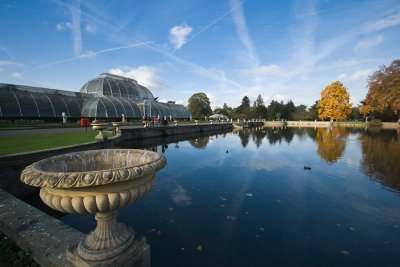 Palm House