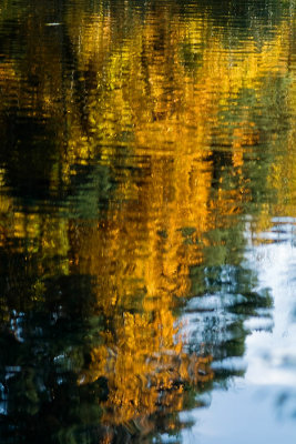 Golden green reflection 2