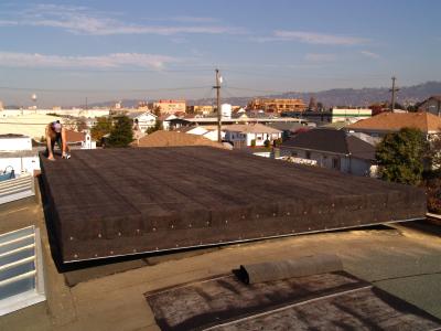 g3/54/3854/3/54064977.TL.roofplatform13.RoofingPaperSW.jpg