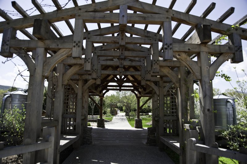 A day at the Arboretum