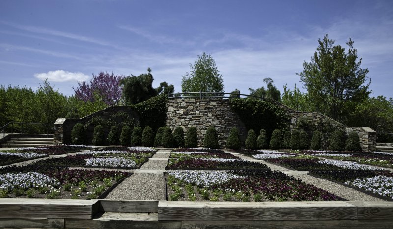 A day at the Arboretum