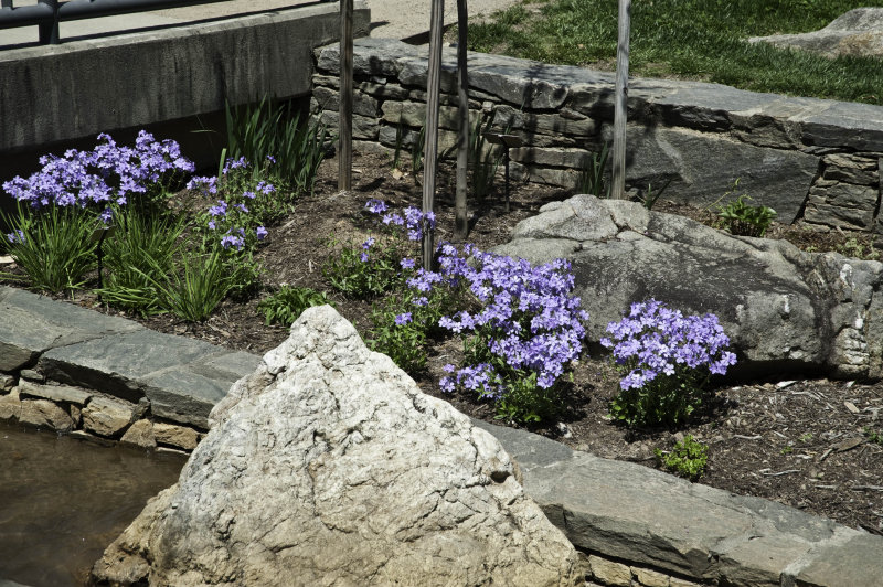 A day at the Arboretum