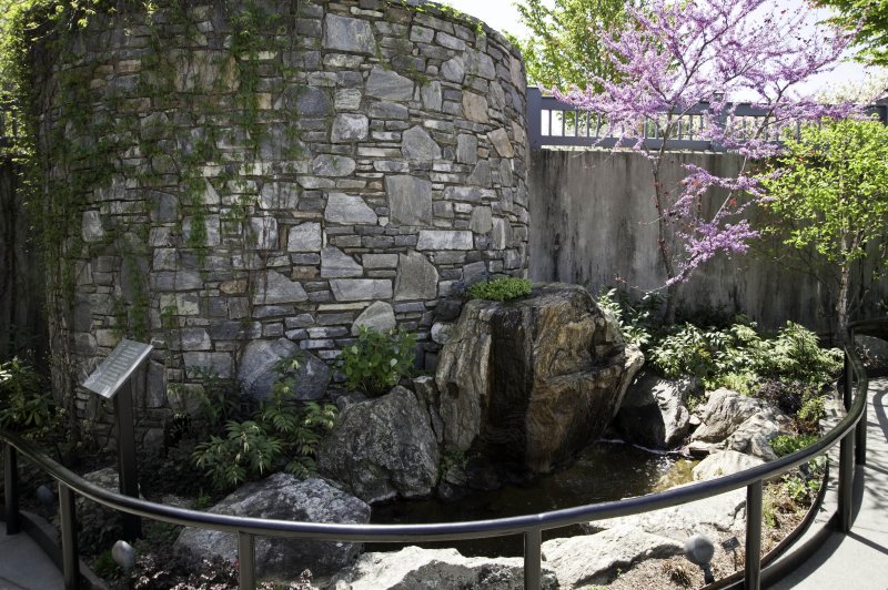 A day at the Arboretum