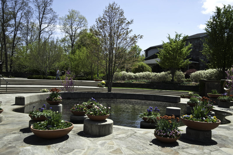 A day at the Arboretum