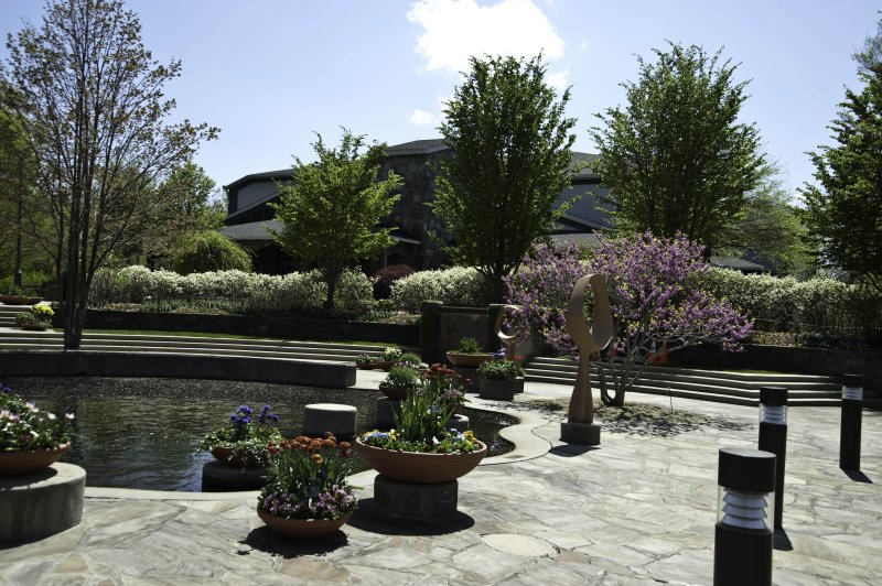 A day at the Arboretum