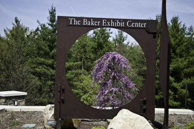 A day at the Arboretum
