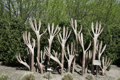 A day at the Arboretum