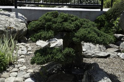 A day at the Arboretum
