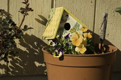 Bird House in a Flower Pot