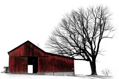 g3/54/404954/3/56464284.IMG_3557redbarn2web.jpg