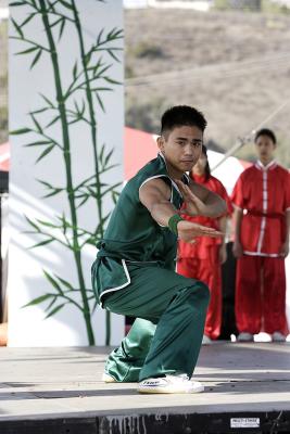 UCSD Wushu