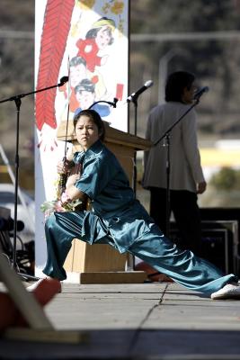 UCSD Wushu