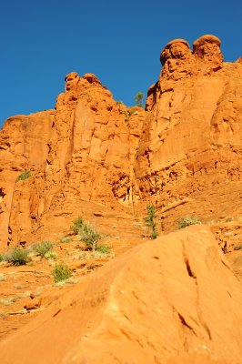 DSC_2066.jpg