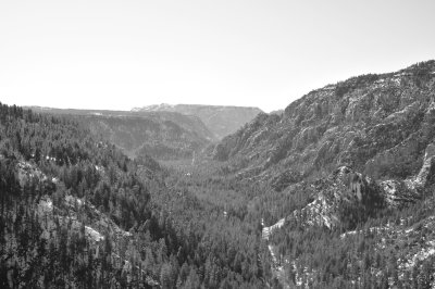 DSC_2142.jpg
