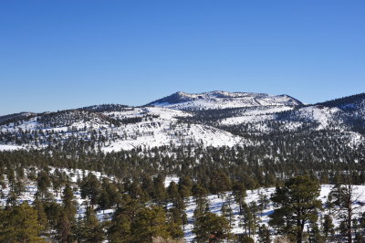 DSC_2147.jpg