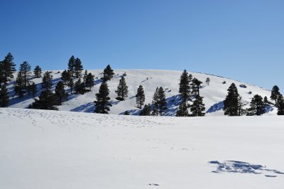 DSC_2169.jpg