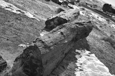 AZ NM road trip 2009