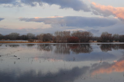 DSC_2493.jpg