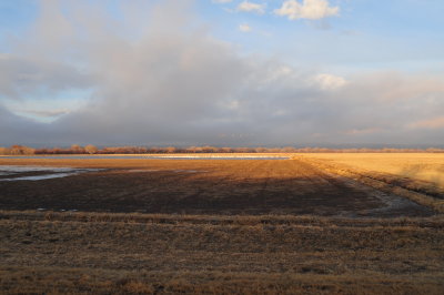 DSC_2513.jpg
