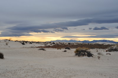DSC_2616.jpg