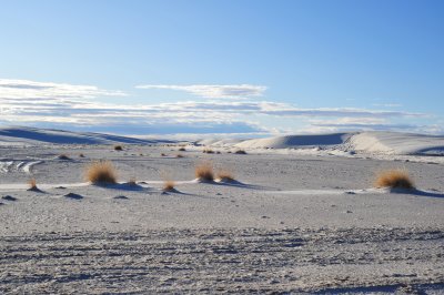 DSC_2693.jpg