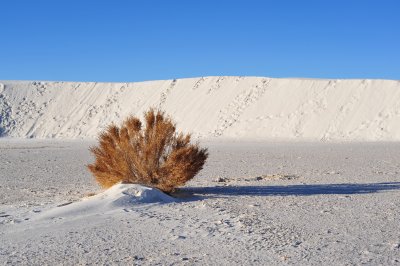 DSC_2703.jpg