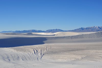 DSC_2730.jpg