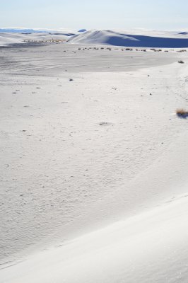 DSC_2755.jpg