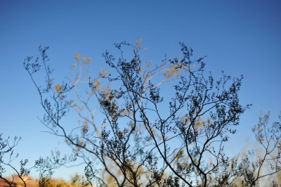 DSC_2795.jpg