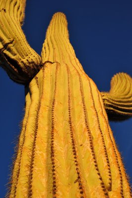 DSC_2804.jpg