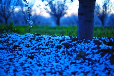 DSC_3450.jpg