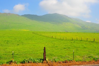 DSC_3494.jpg
