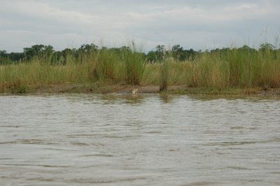 DSC_0249.JPG