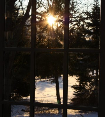 window2.jpg