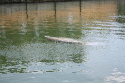 img_1086.jpg