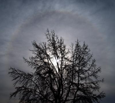 wSun Halo1 12-28-05.jpg