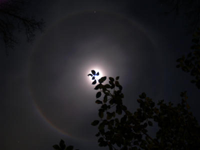 wMoon Halo1 2-8-06.jpg