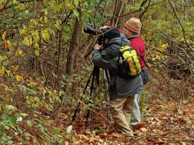 wPhotogs2.jpg