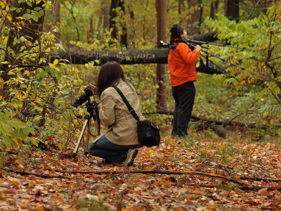 wPhotogs4.jpg