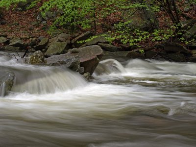 wHunting Creek in Spring3 P4261217.jpg