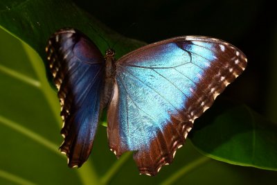 g3/54/475254/3/120217507.M1ArecWJ.jpg