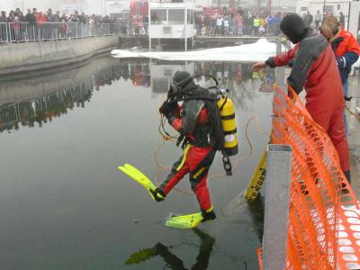 Polar Plunge