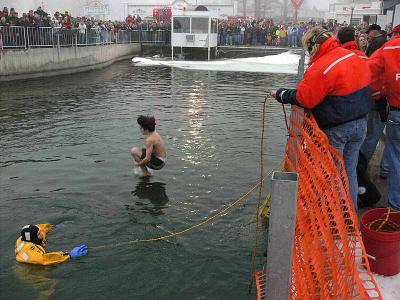 Polar Plunge