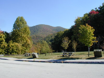 P1010016.JPG