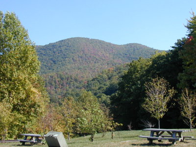 P1010017.JPG