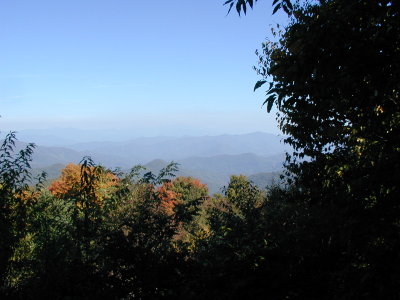 P1010022.JPG