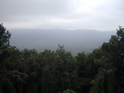 P1010031.JPG