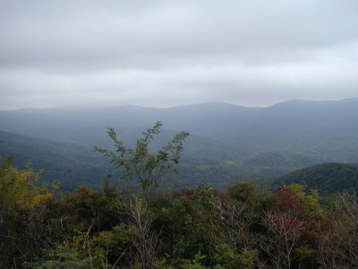 P1010035.JPG